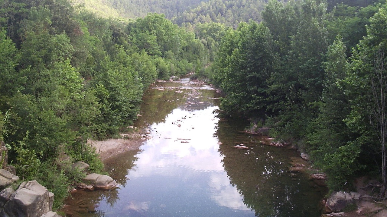 Photo of Others in Sant Llorenc de la Muga