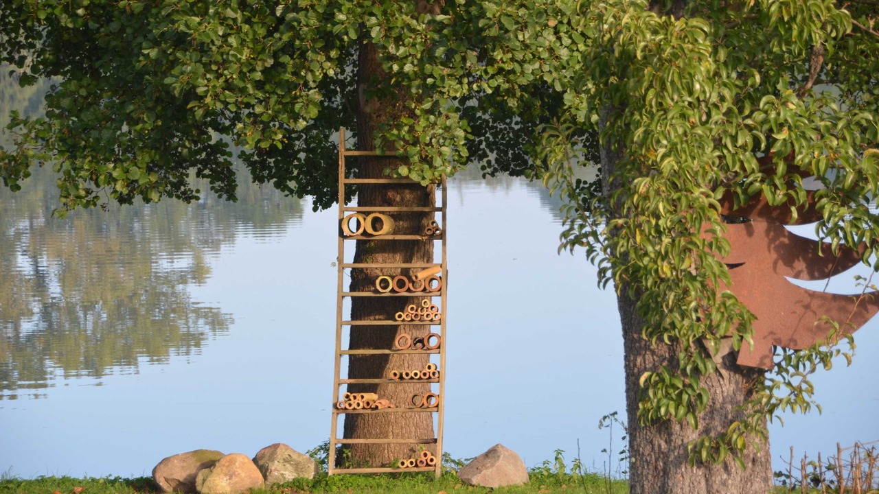 Photo of Outdoor in Grebin