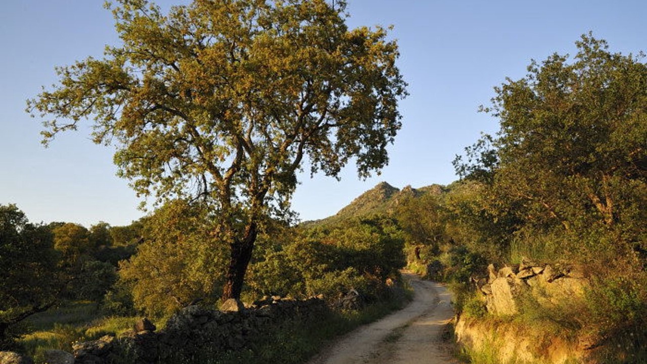 Photo of Outdoor in Montanchez