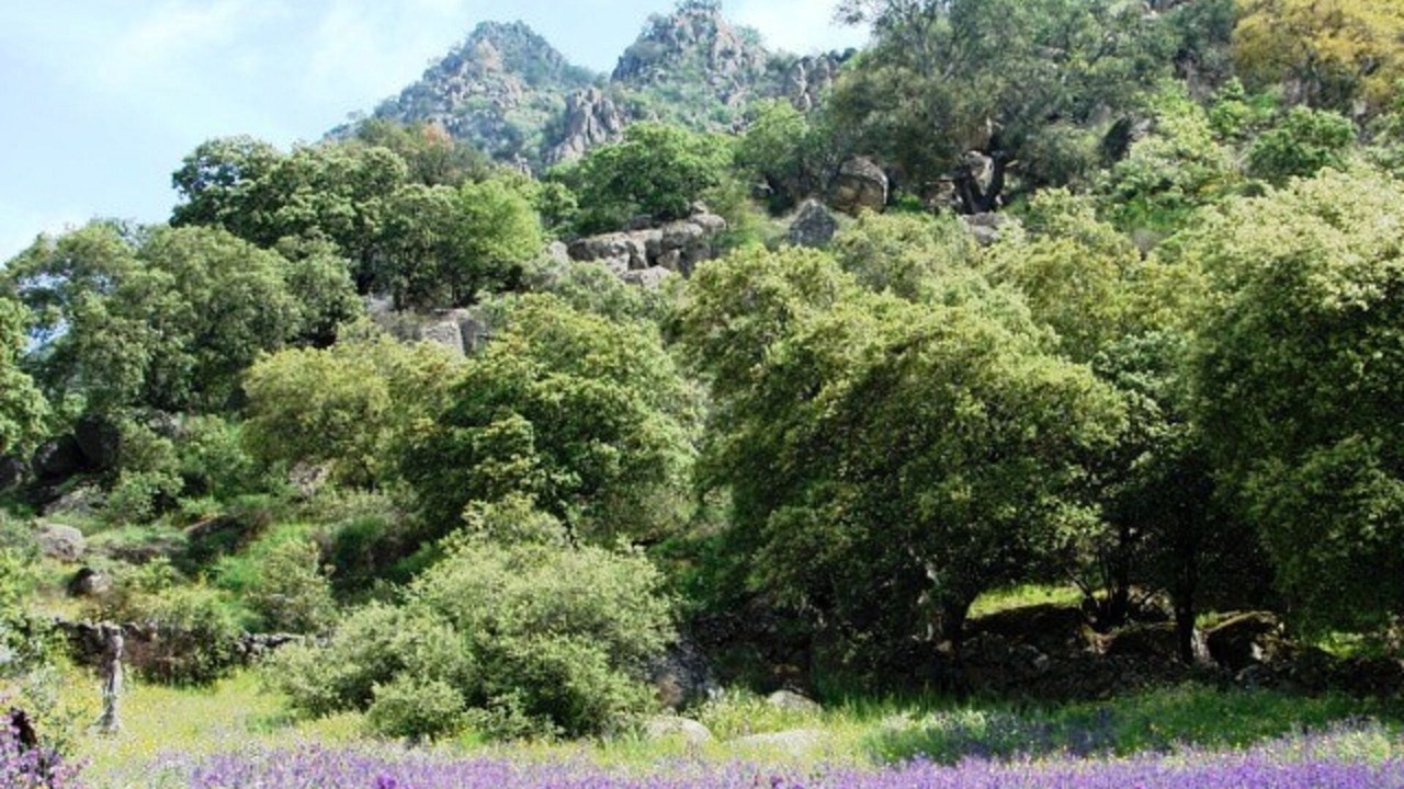 Photo of Outdoor in Montanchez