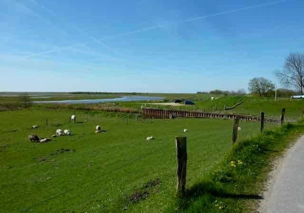 Photo of Others in Katingsiel