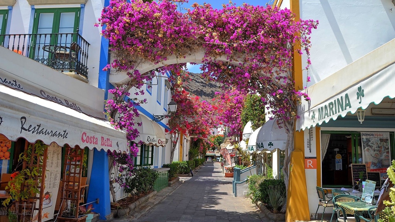 Photo of Outdoor in Puerto Rico