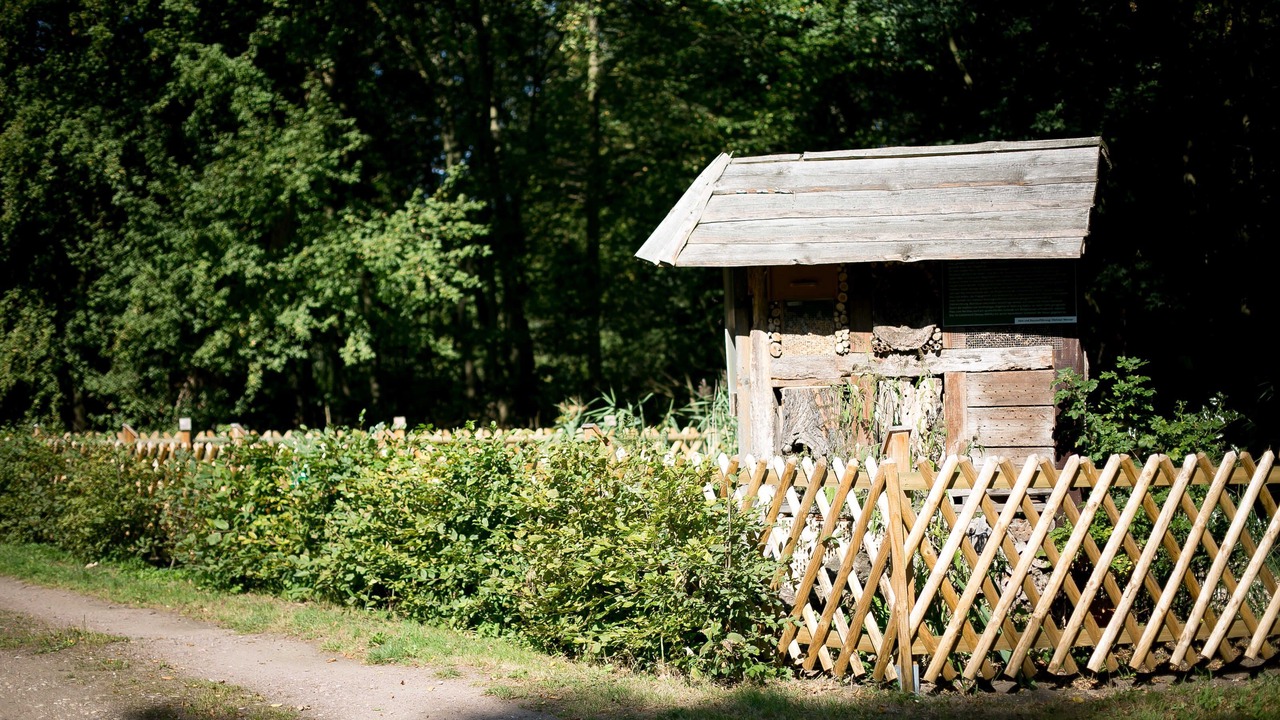 Photo of Outdoor in Dessau-Rosslau
