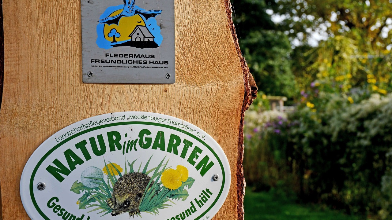 Photo of Others in Lauterbach