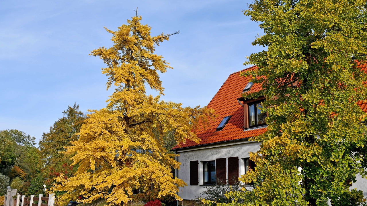 Photo of Outdoor in Lauterbach
