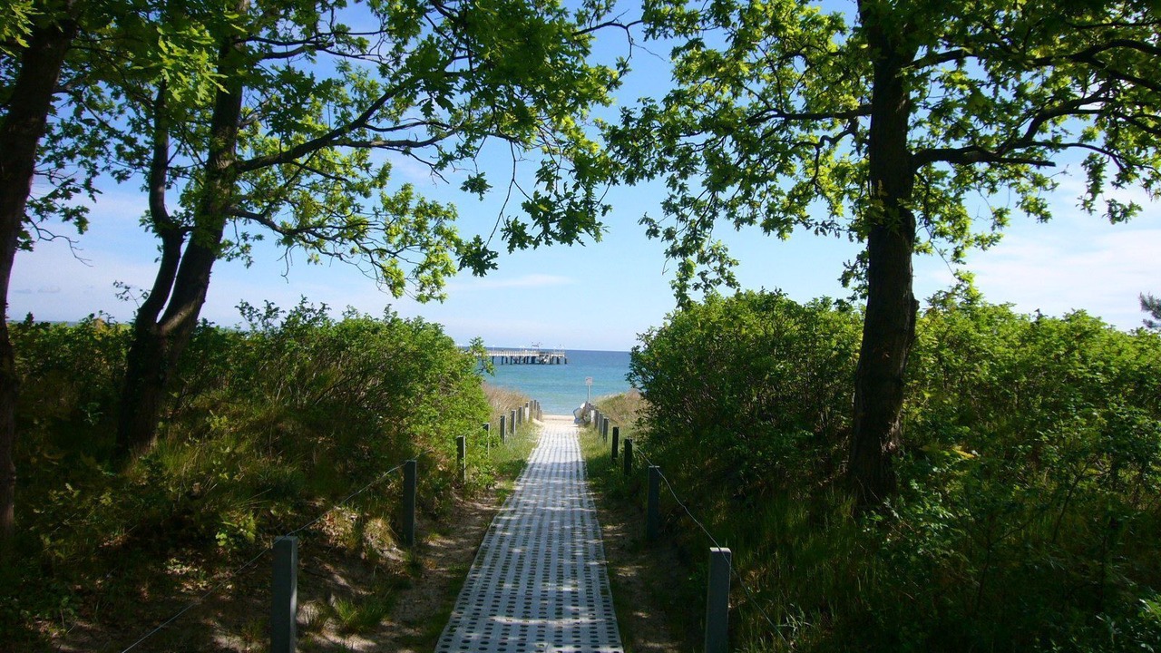 Photo of Others in Binz