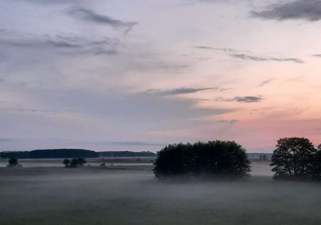 Photo of Others in Trassenheide