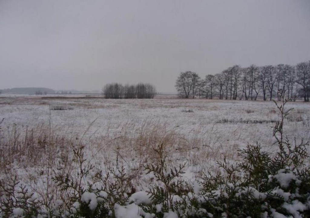 Photo of Others in Trassenheide