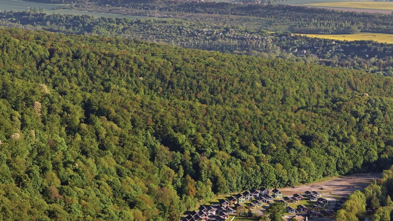 Photo of Others in Thale