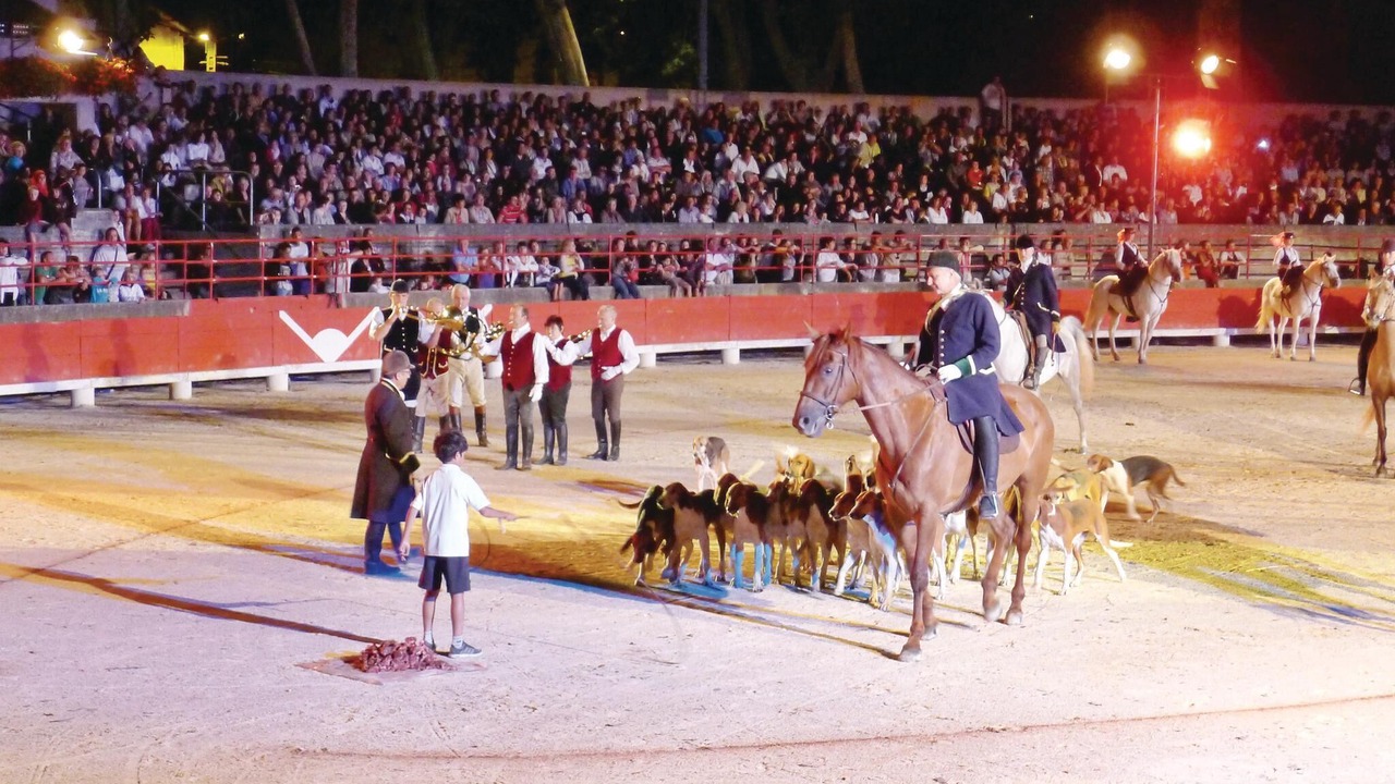 Photo of Others in Beaucaire