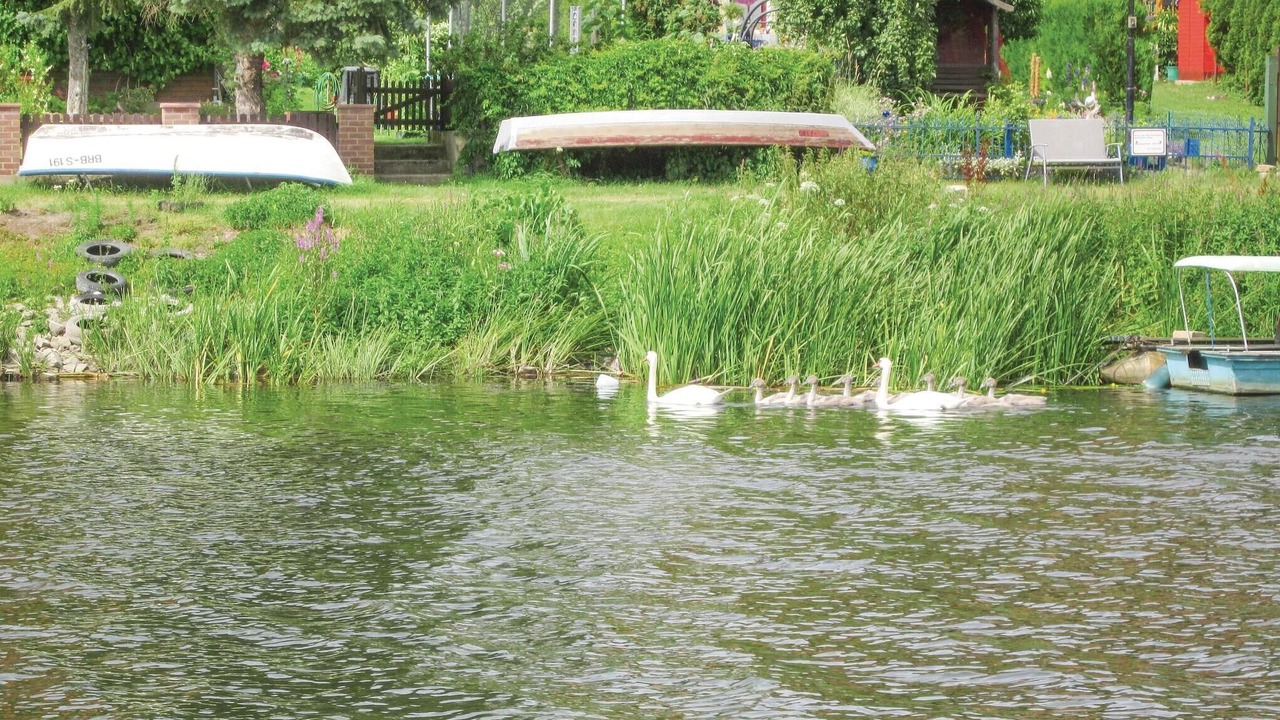 Photo of Others in Havelsee
