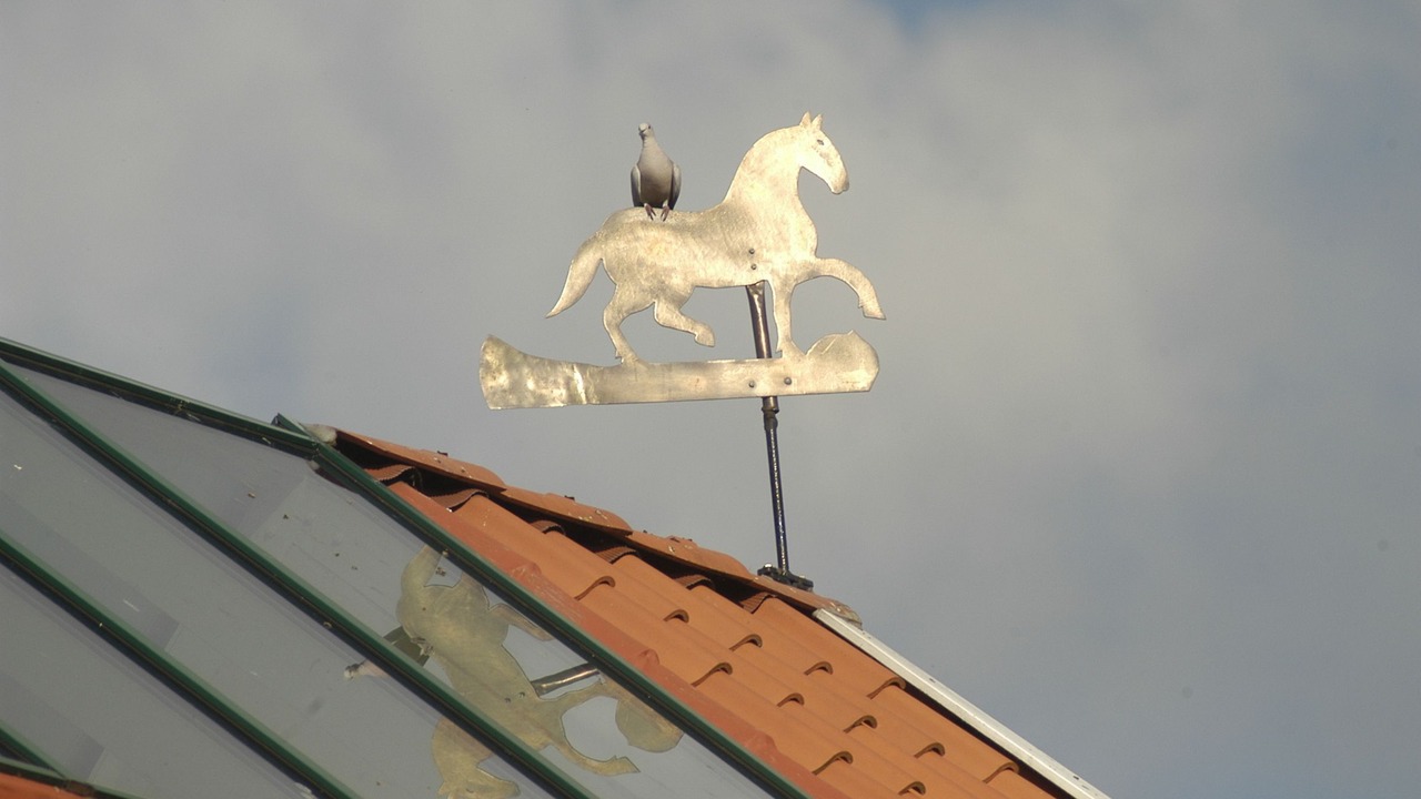 Photo of Outdoor in Greetsiel
