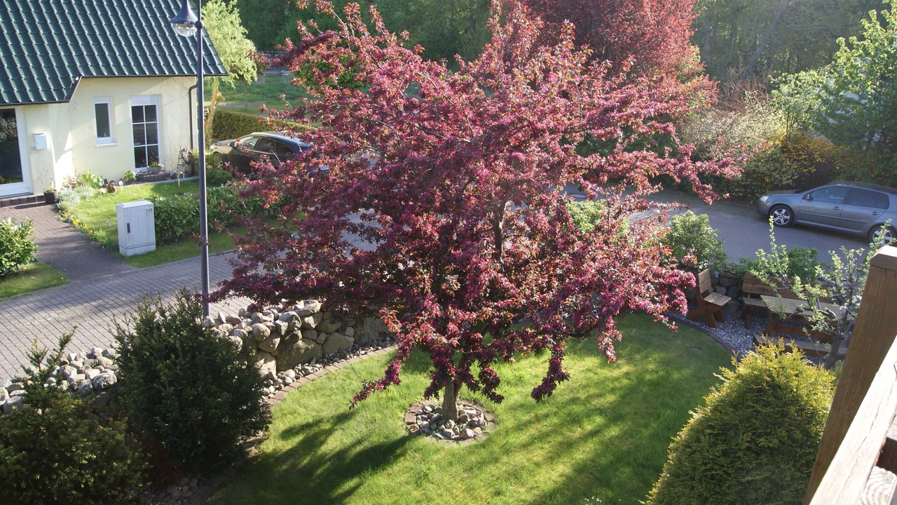 Photo of Outdoor in Trassenheide