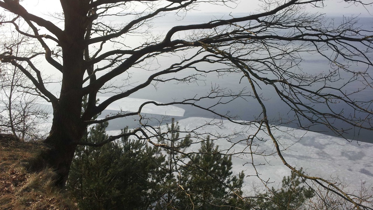 Photo of Others in Trassenheide
