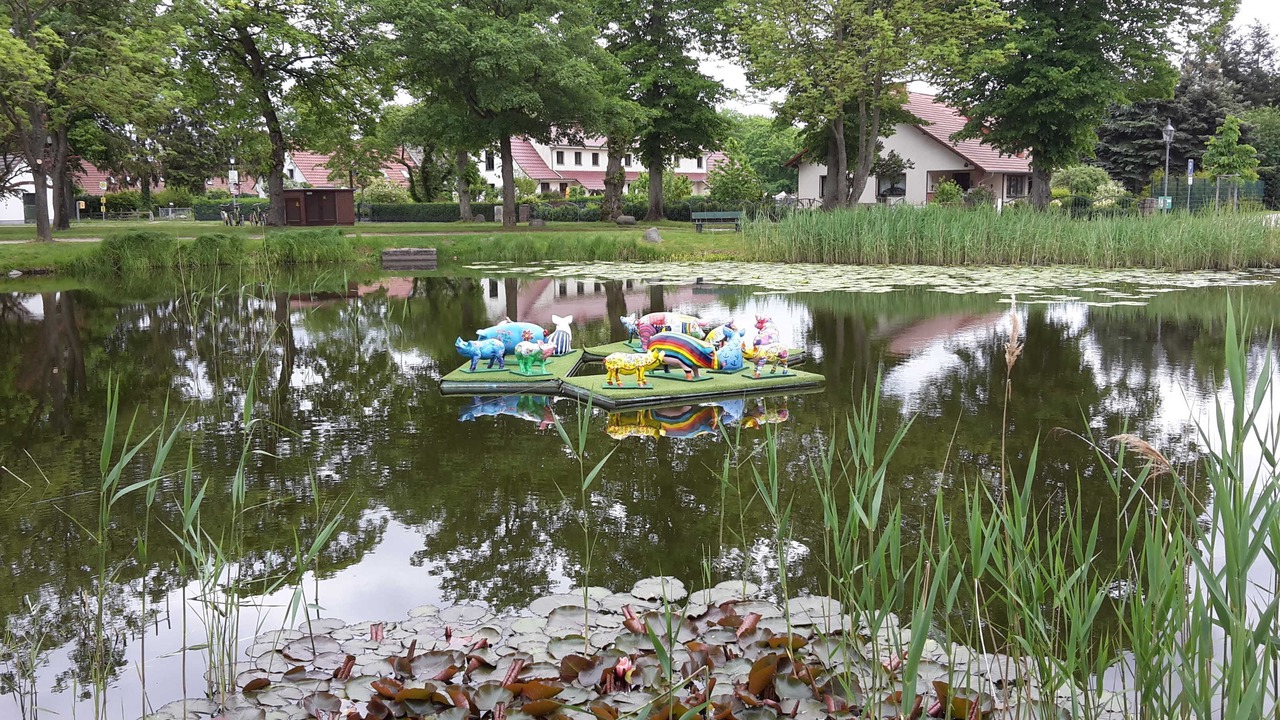 Photo of Outdoor in Stolpe auf Usedom