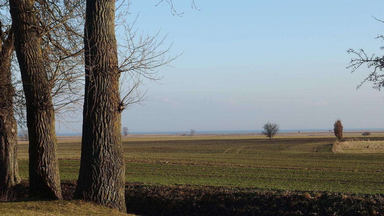 Photo of Others in Stolpe auf Usedom