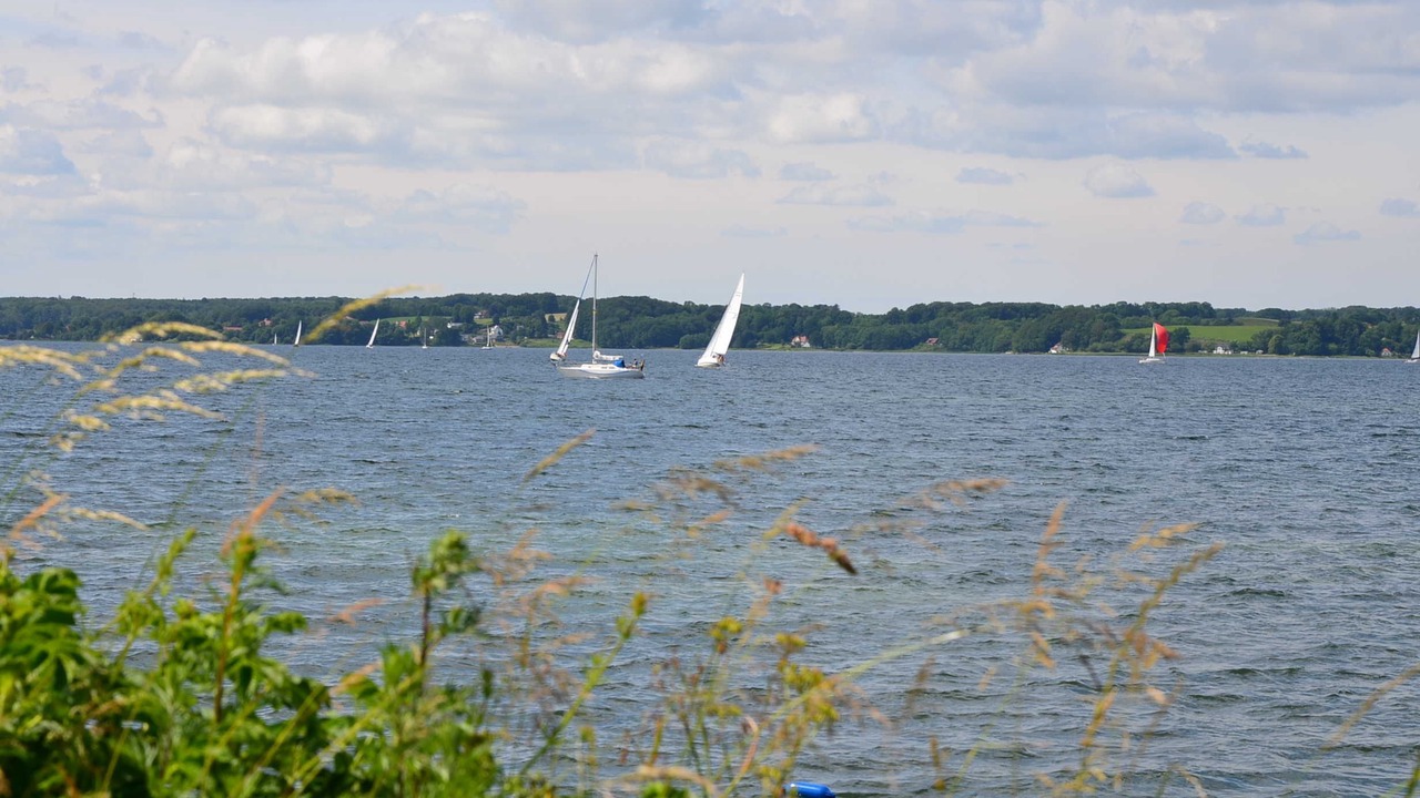 Photo of Others in Schausende