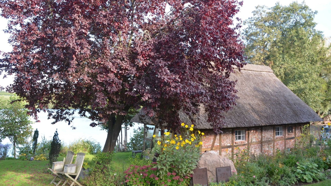 Photo of Outdoor in Grebin