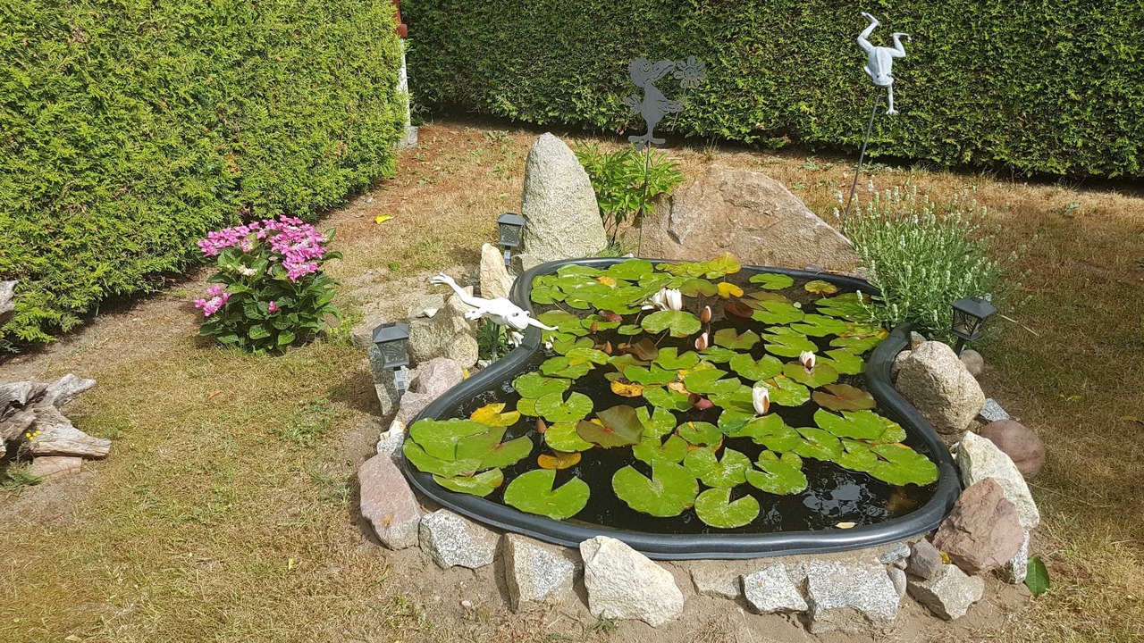 Photo of Outdoor in Zinnowitz