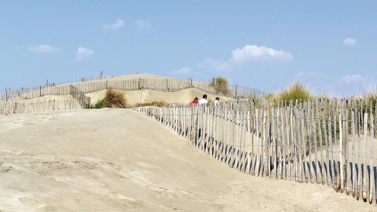 Photo of Others in Aigues-Mortes