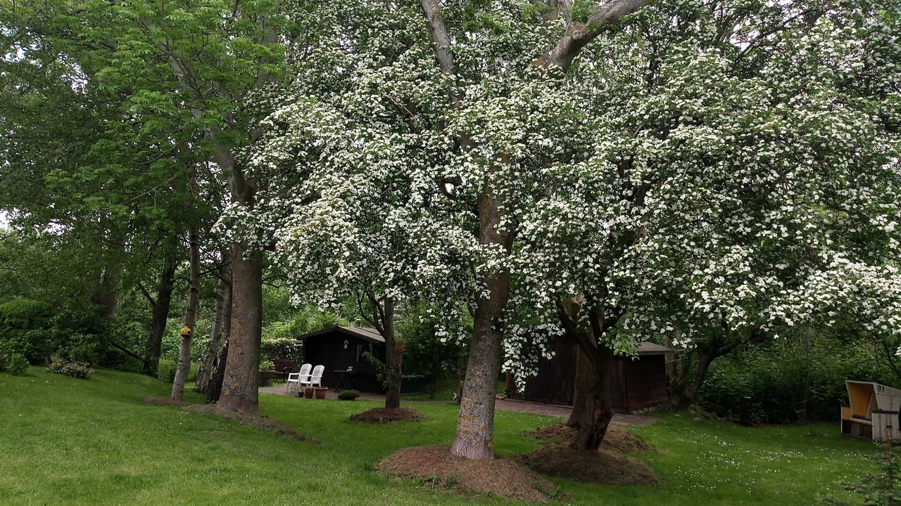 Photo of Outdoor in Großmorsum