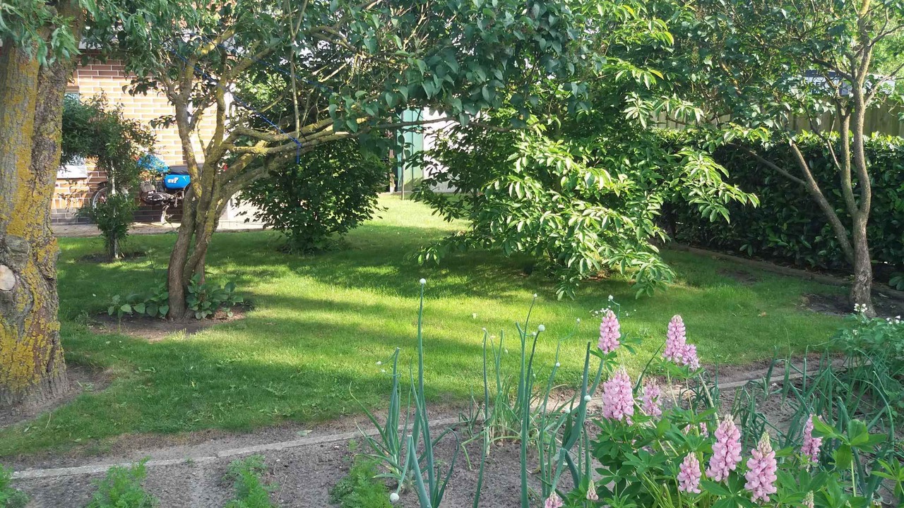 Photo of Outdoor in Usedom
