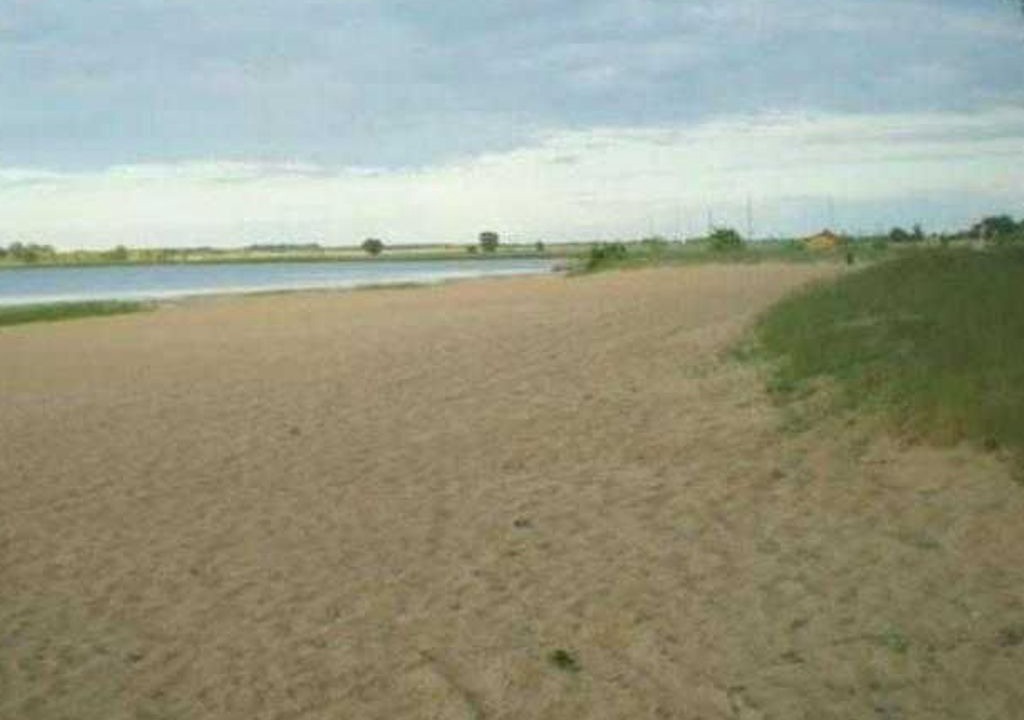 Photo of Others in Freest