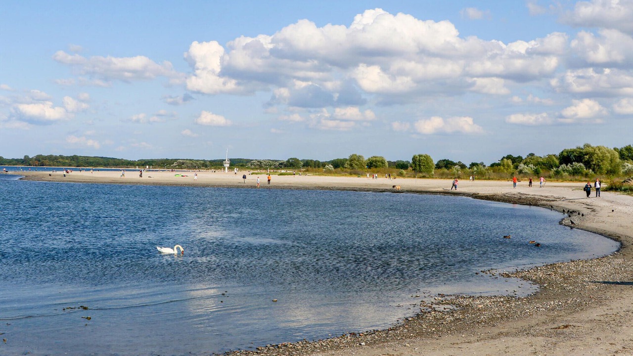 Photo of Others in Travemuende