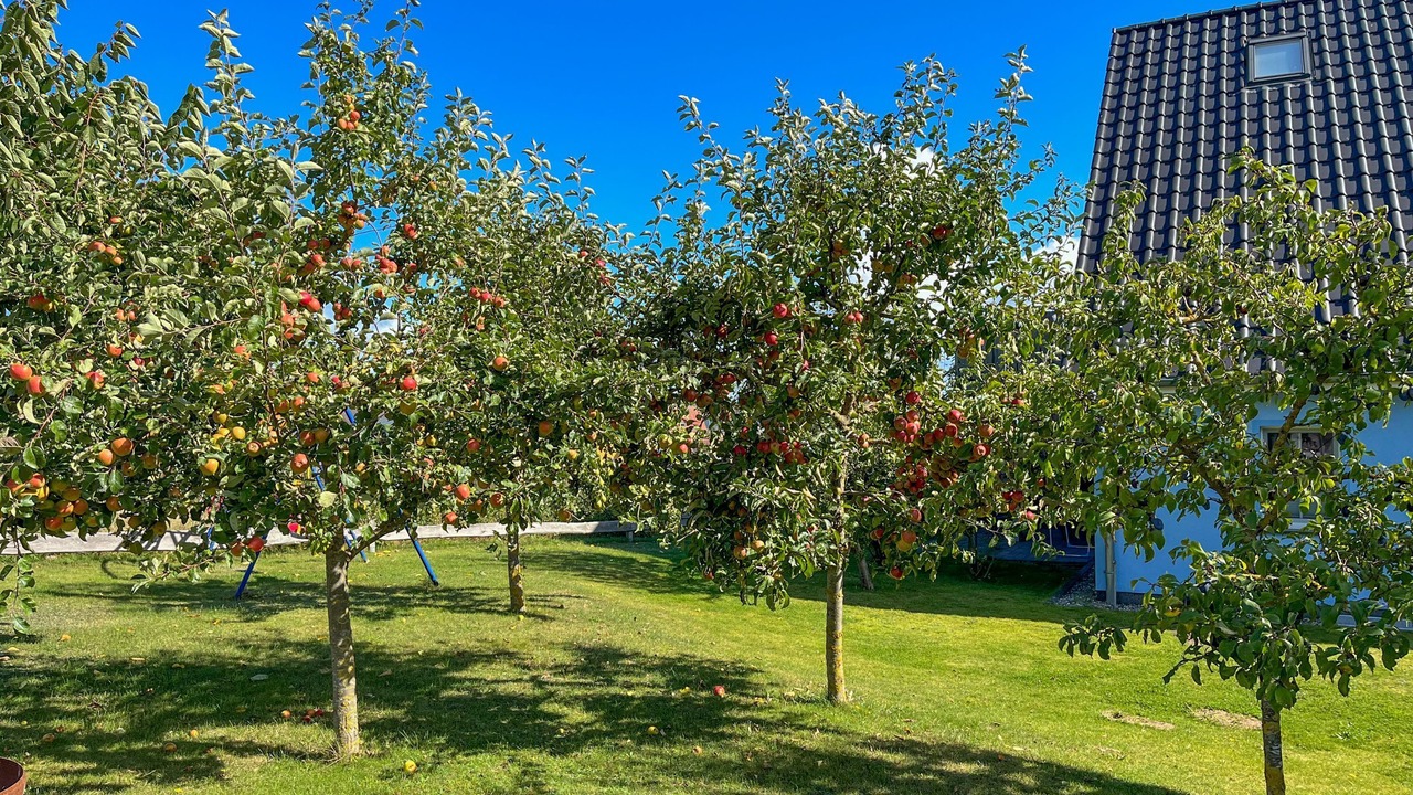Photo of Outdoor in Freest