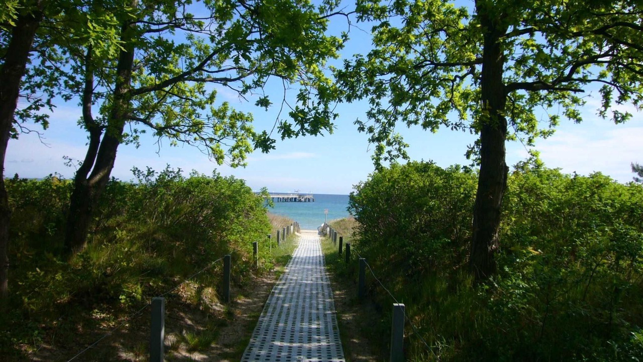 Photo of Others in Binz
