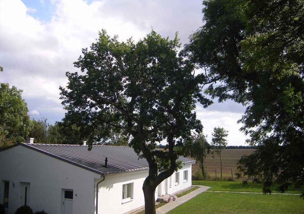 Photo of Others in Rambin