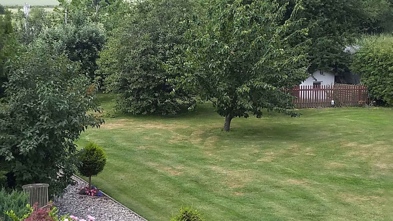 Photo of Outdoor in Gingst