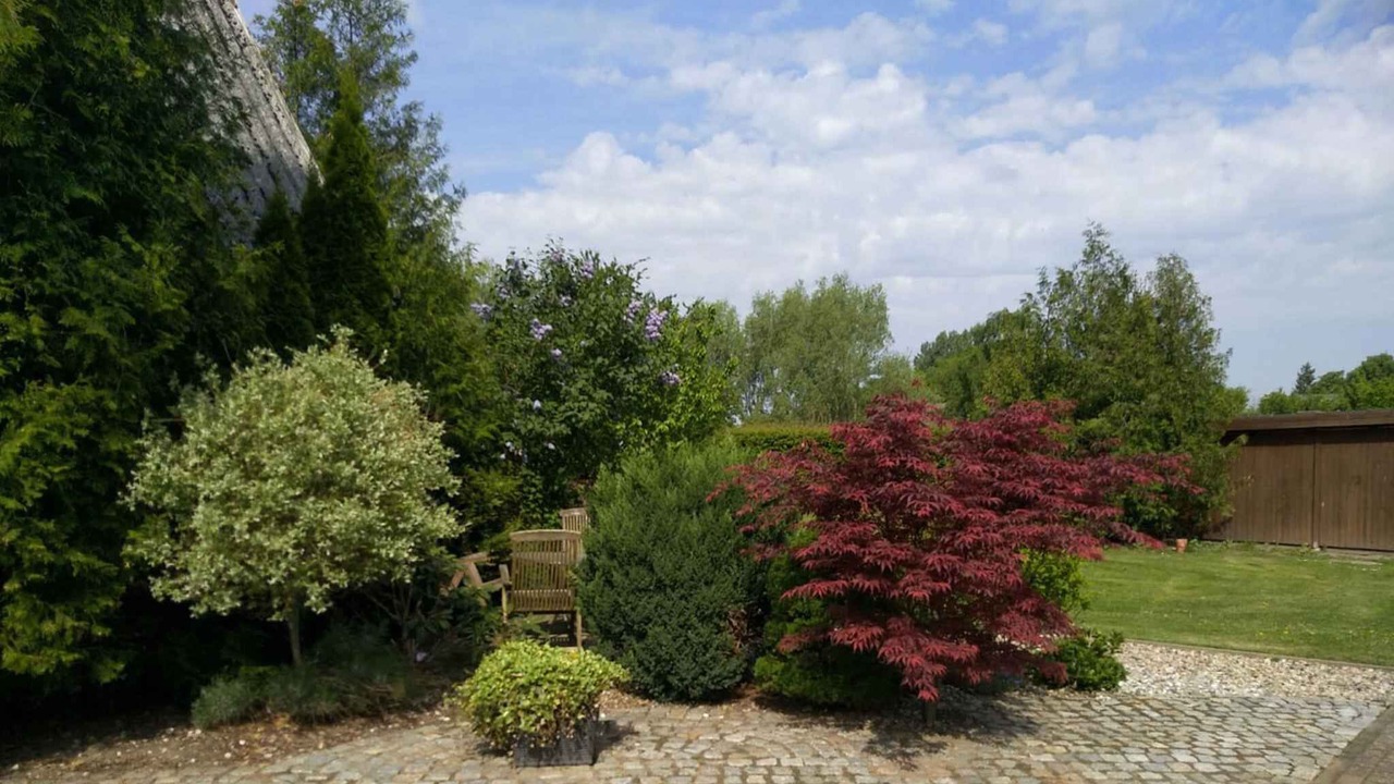 Photo of Outdoor in Gingst