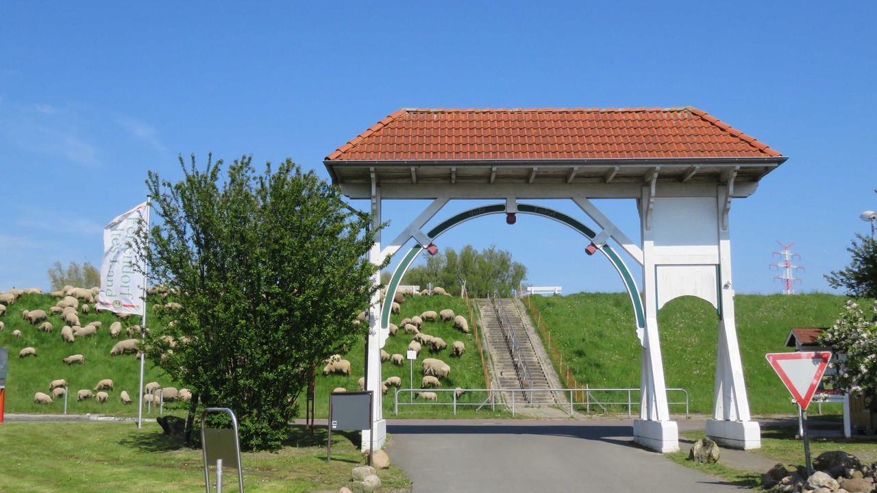 Photo of Others in Hollern
