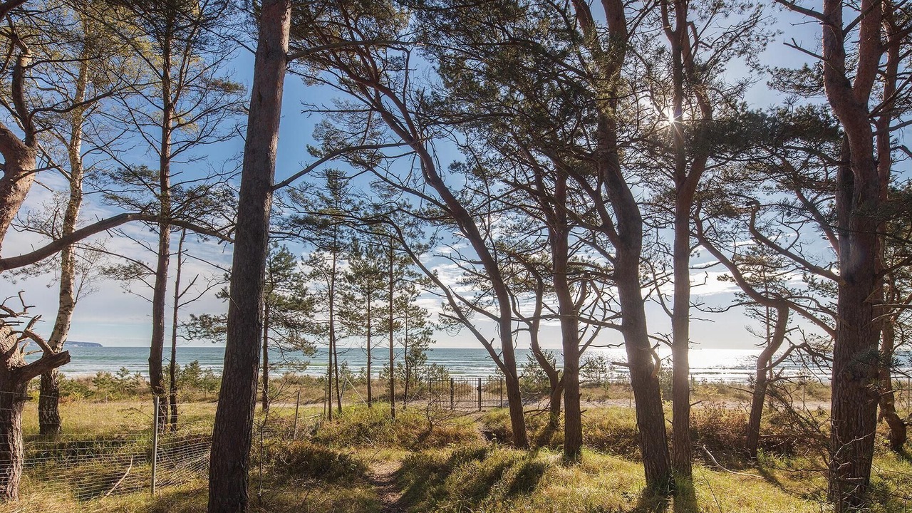 Photo of Others in Prora