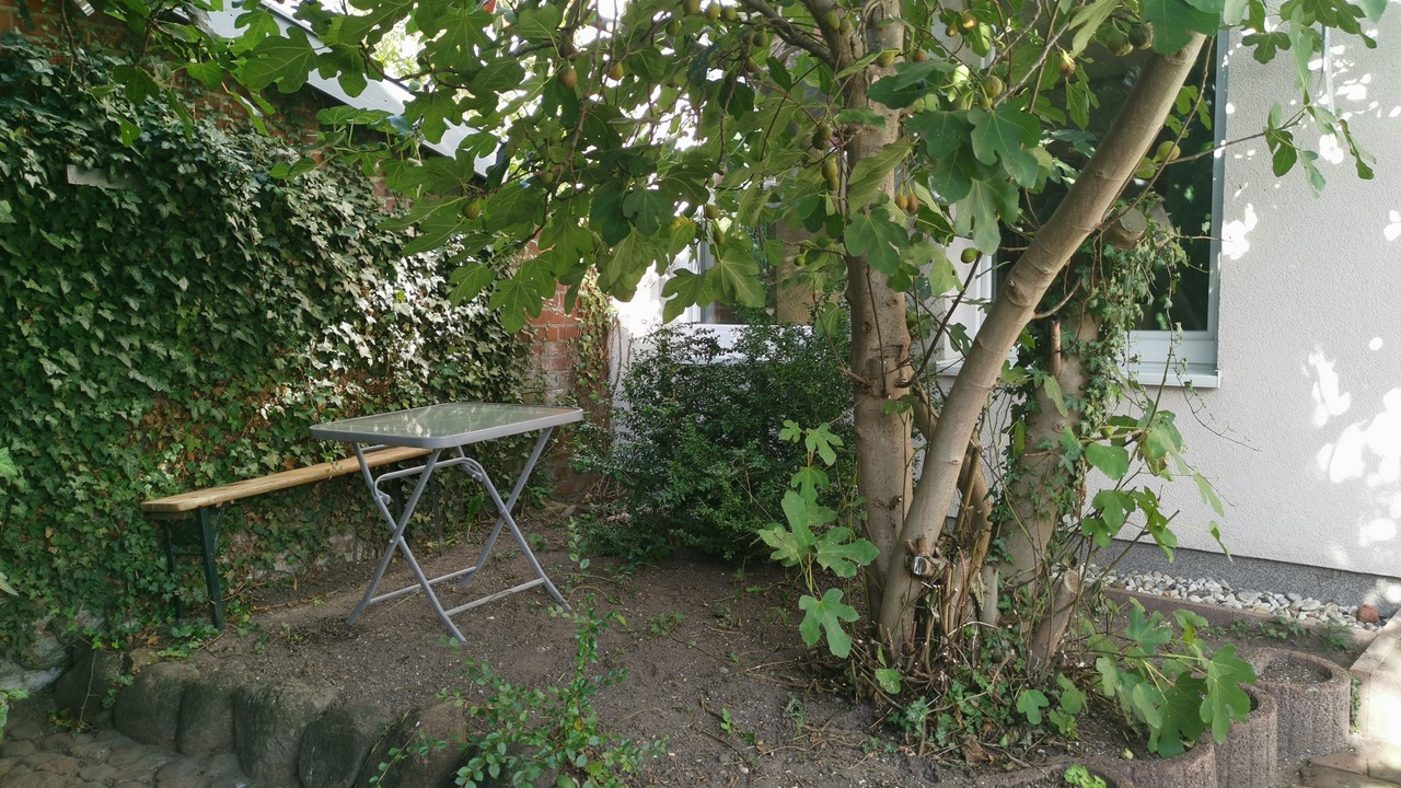 Photo of Outdoor in Neustadt in Holstein