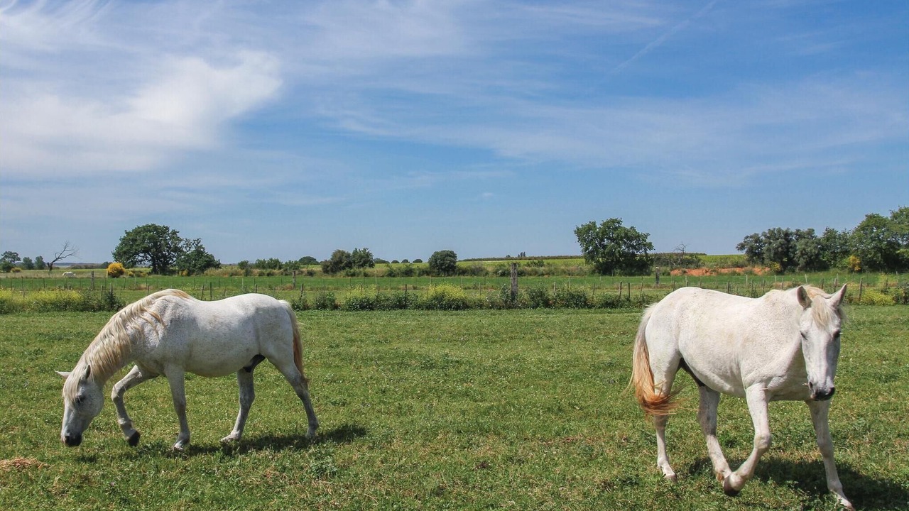 Photo of Others in Beauvoisin