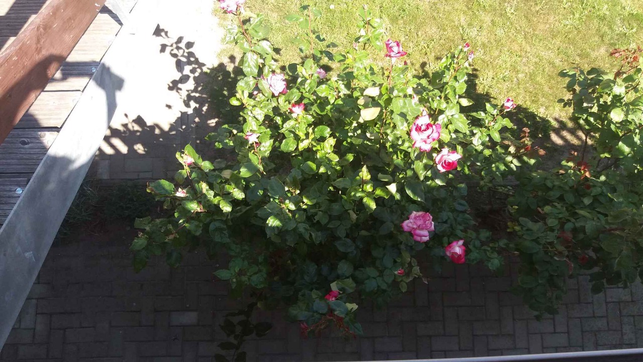 Photo of Outdoor in Usedom