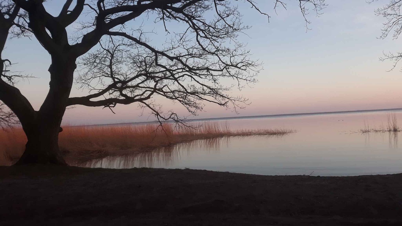 Photo of Others in Usedom