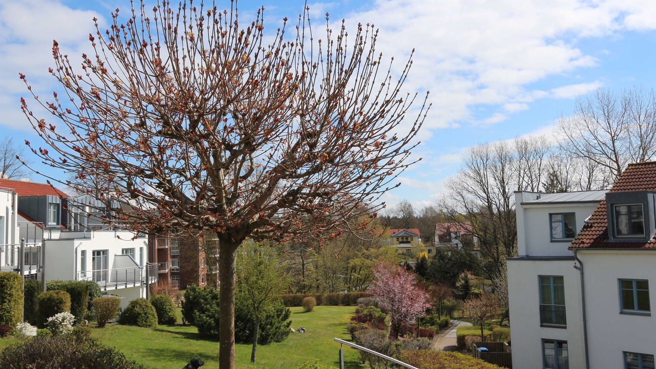Photo of Outdoor in Zinnowitz
