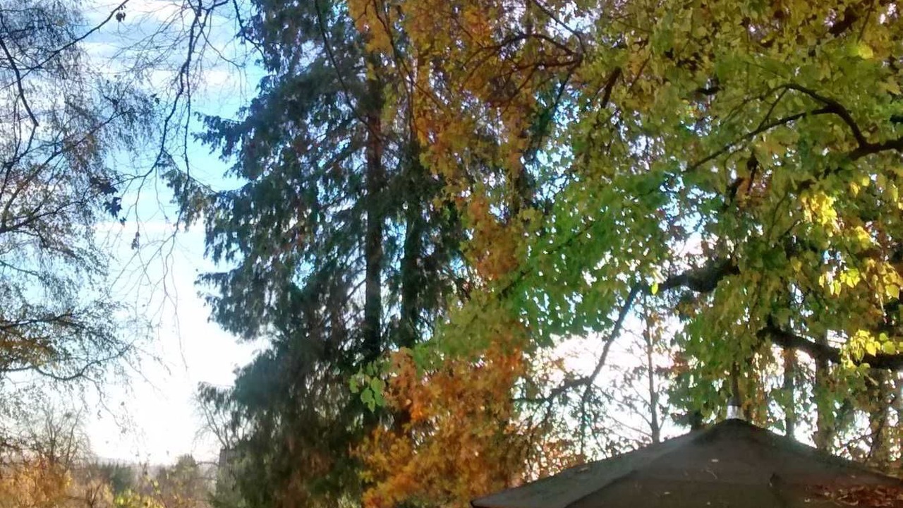 Photo of Outdoor in Bad Sachsa