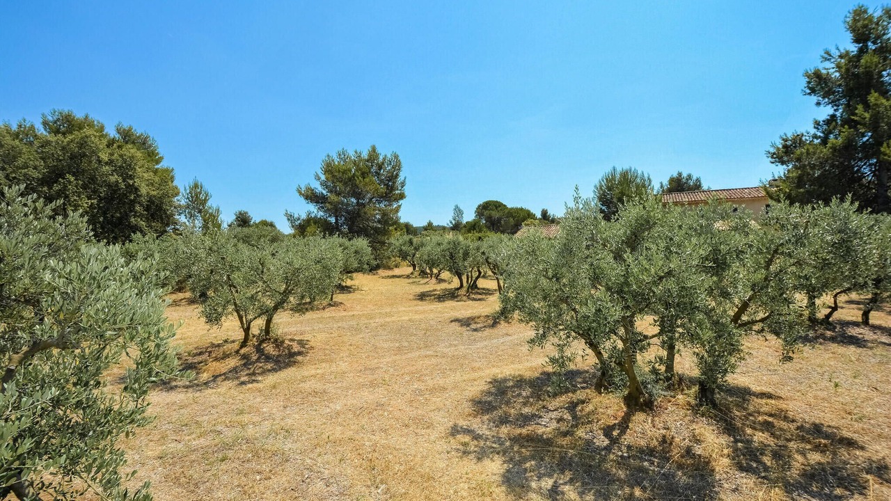 Photo of Others in Eygalieres