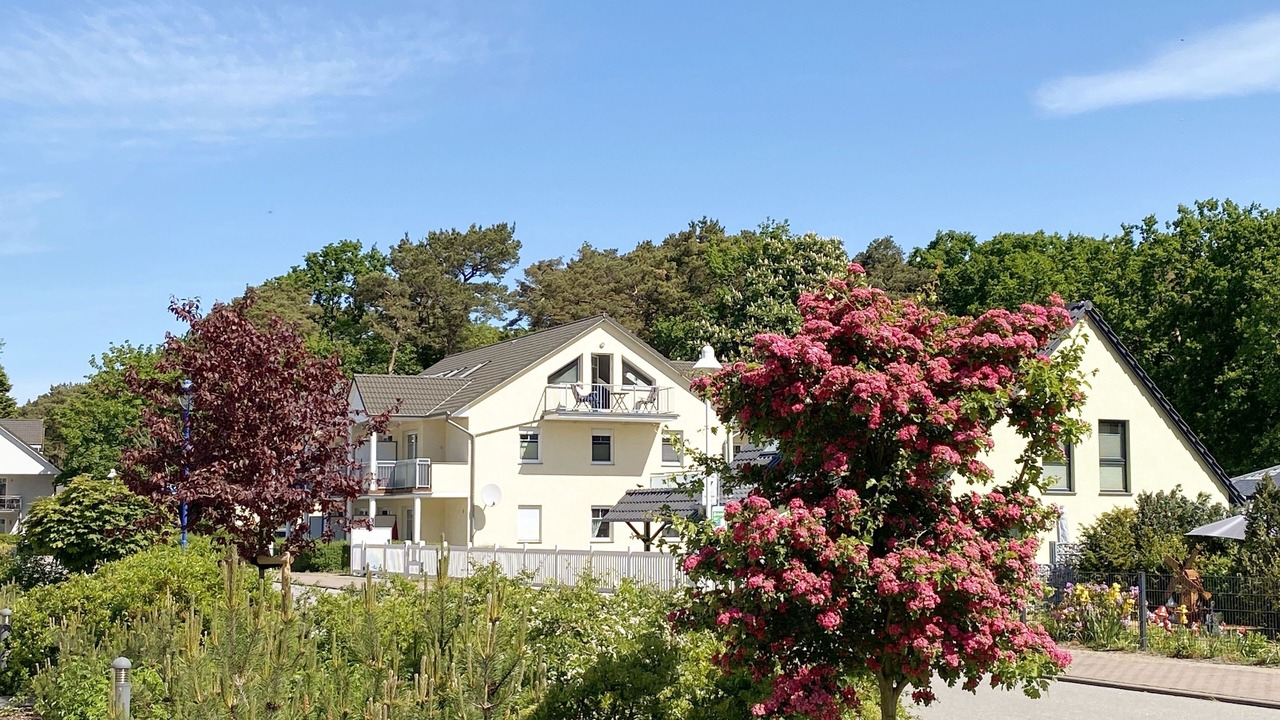 Photo of Outdoor in Thiessow