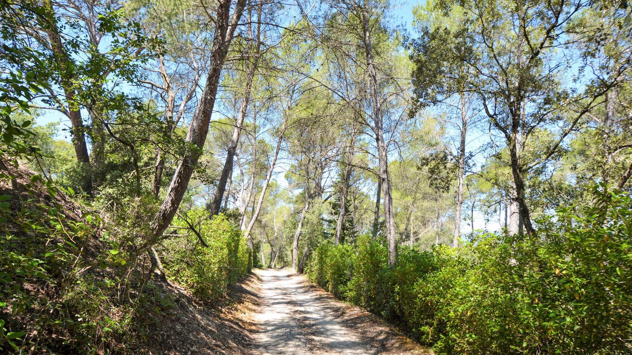 Photo of Others in La Roque-d'Antheron