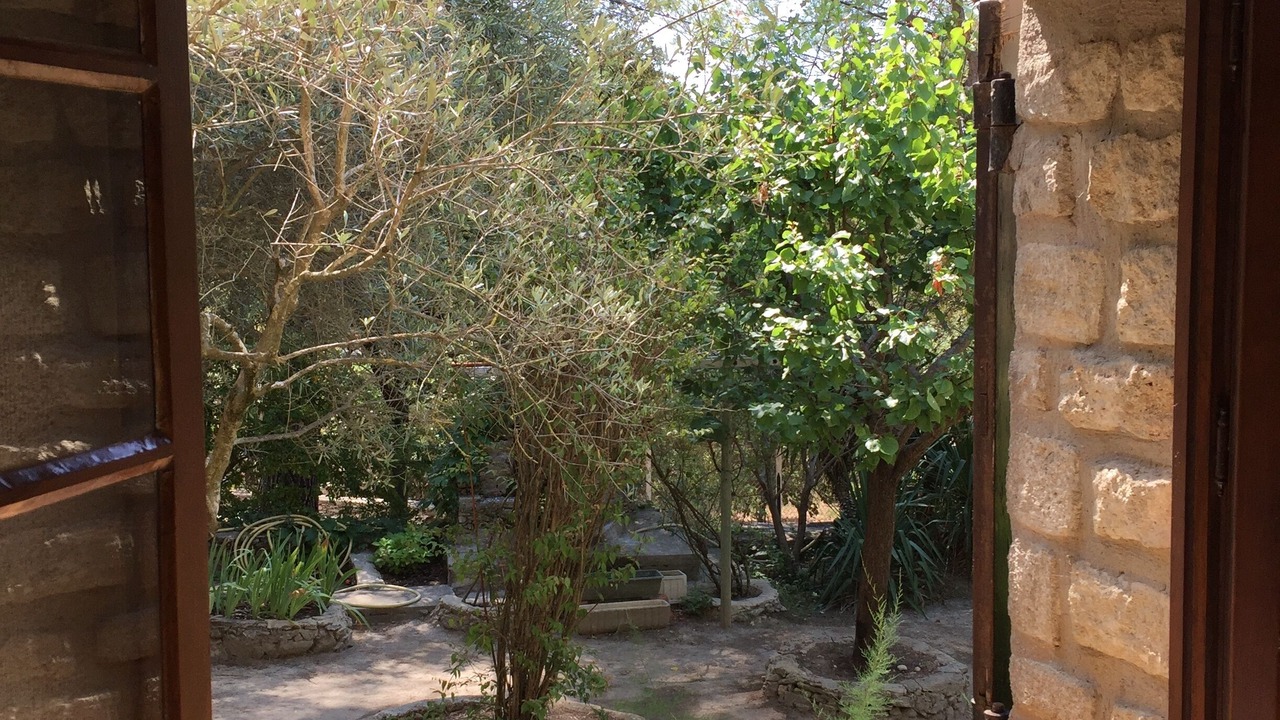 Photo of Others in L'Isle-sur-la-Sorgue