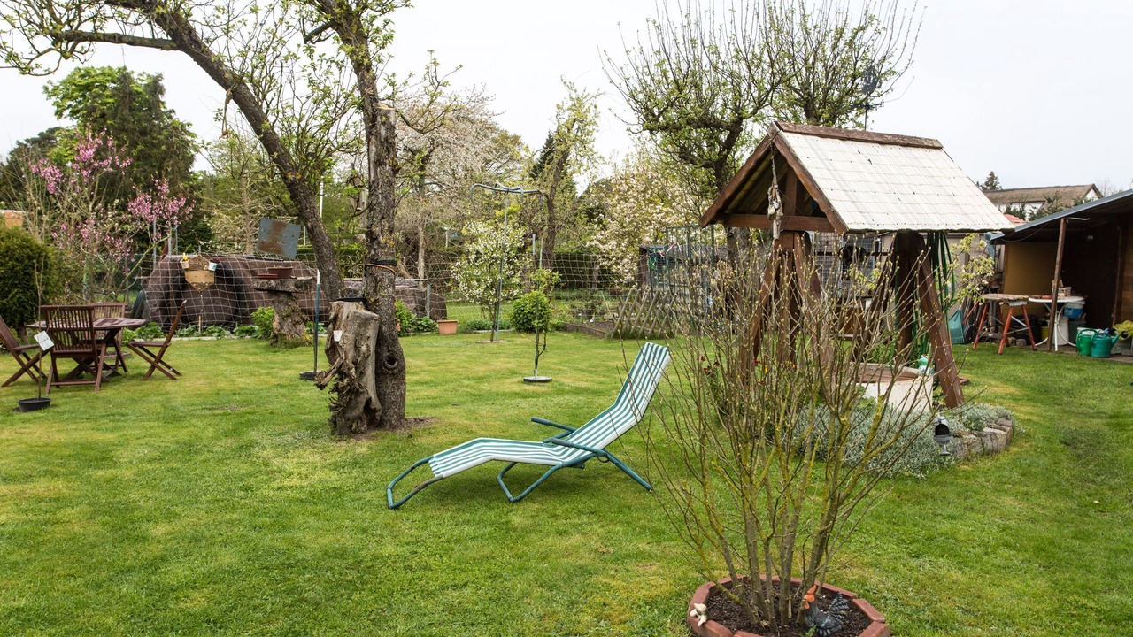 Photo of Outdoor in Freest