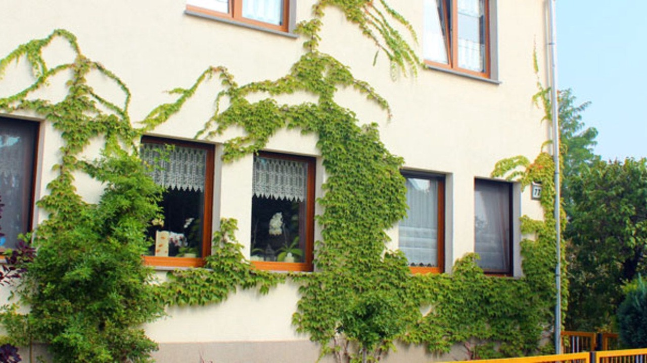 Photo of Outdoor in Lutherstadt Wittenberg