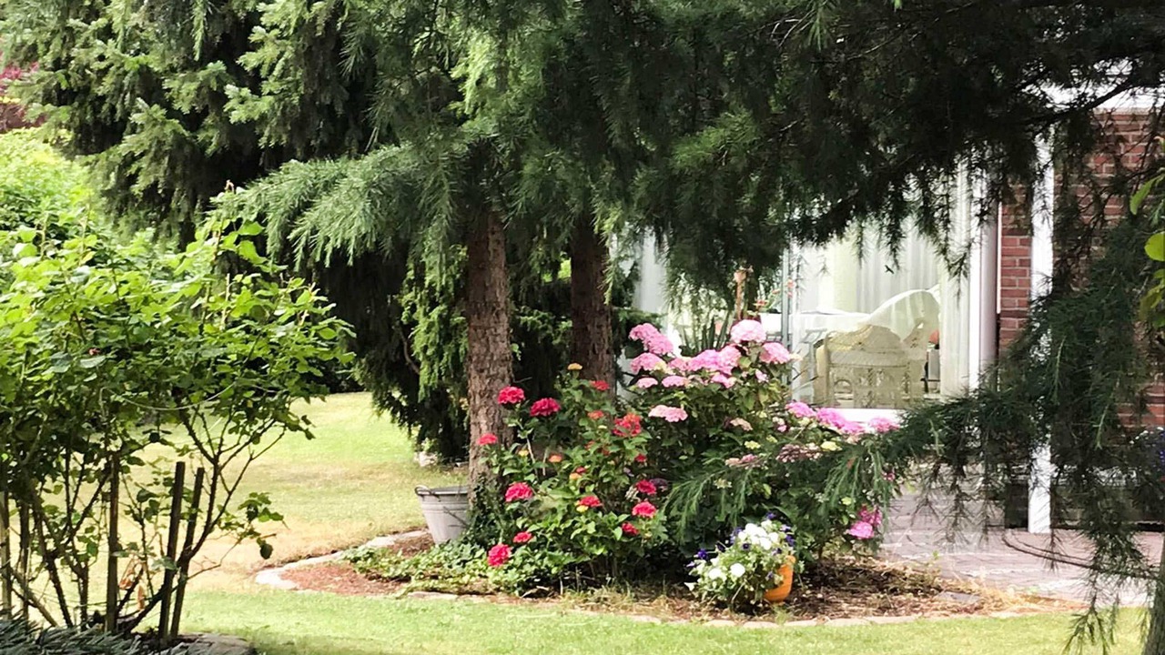Photo of Outdoor in Freest