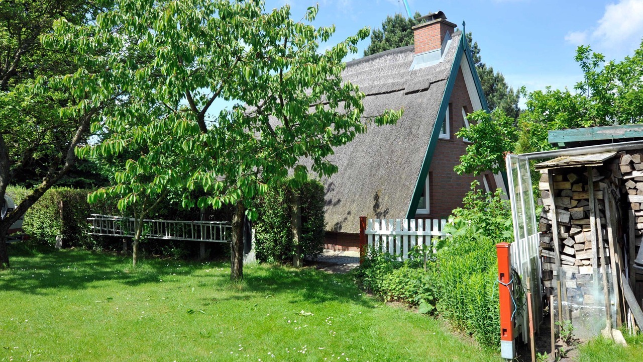 Photo of Outdoor in Freest