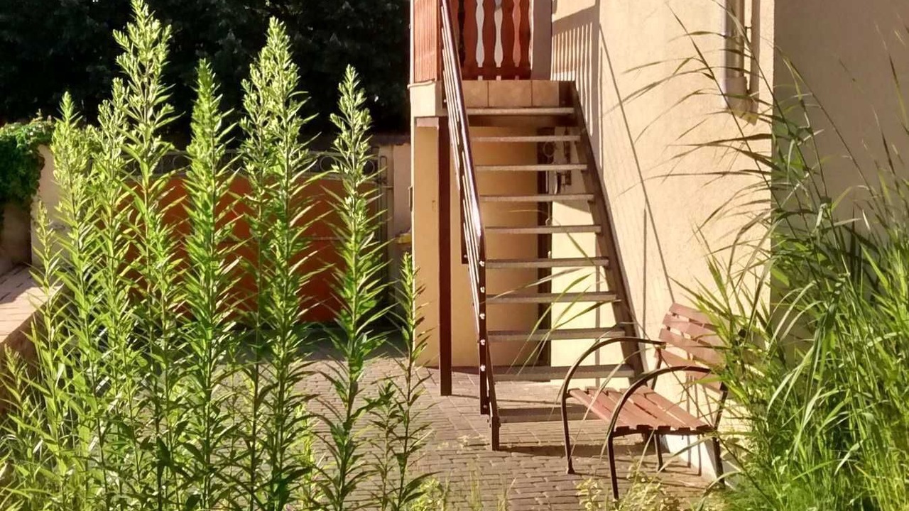 Photo of Outdoor in Diesdorf